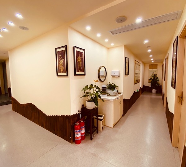 環境展示
